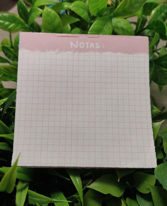 Memopad Cuadros Rosa $60
